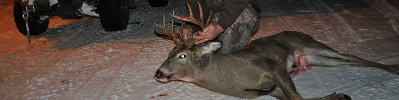 Whitetail Deer Hunting In Michigan's UP